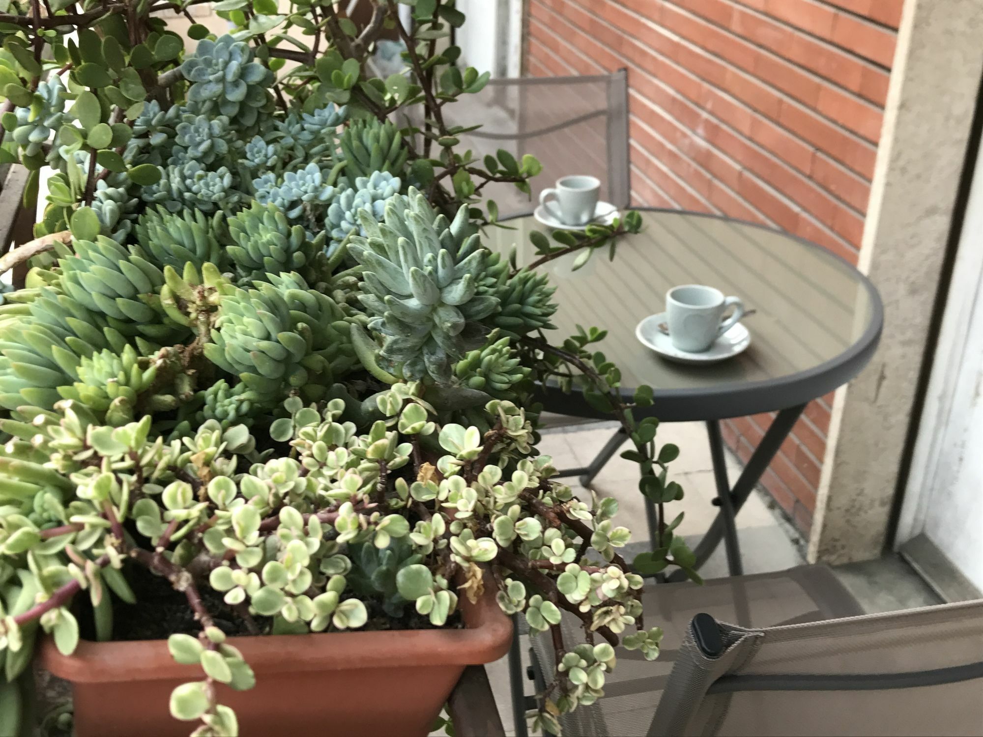 Pardis Guest house Rome Extérieur photo