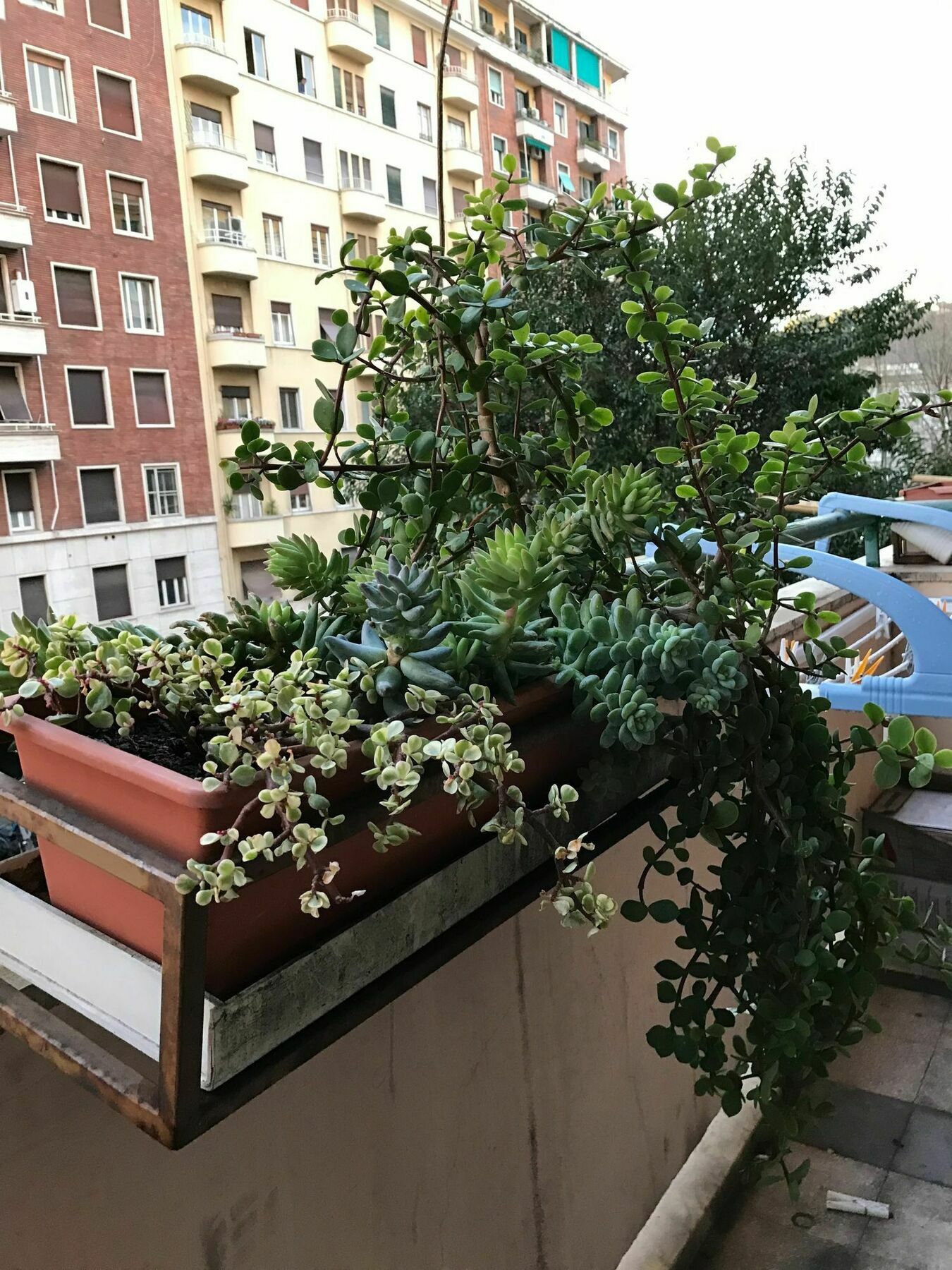 Pardis Guest house Rome Extérieur photo